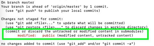 submodule reference in terminal using git status command